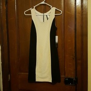 XS Kensie dress NWT